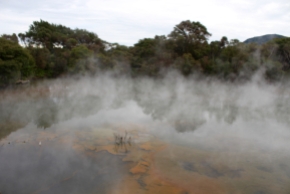 Geothermal Activity Near Rotorua