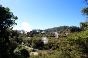 Geothermal Activity Around Rotorua
